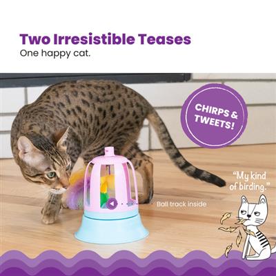 Outward hound cat toys clearance