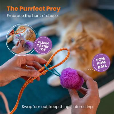 Cat-apult Spring Wand Cat Teaser Wand Cat Toy
