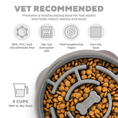 Fun Feeder Slo Dog Bowl - Large - Gray