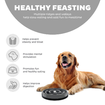 Fun Feeder Slo Dog Bowl - Large - Gray