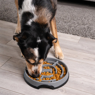 Fun Feeder Slo Dog Bowl - Large - Gray