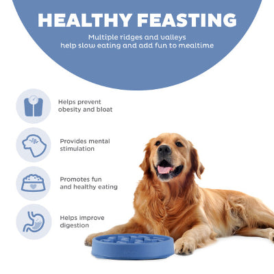 Fun Feeder Grey Slo-Bowl - Medium