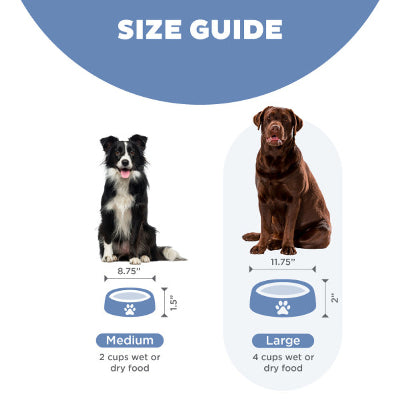 Fun Feeder Grey Slo-Bowl - Medium