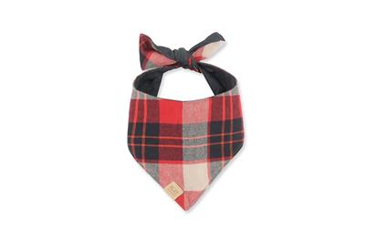 Plaid dog bandana with a bow on a white background
