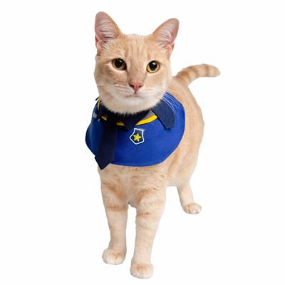 Cat wearing a blue and yellow police costume on a white background