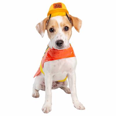 Dog wearing a Construction Worker costume with yellow cap and orange vest on a white background