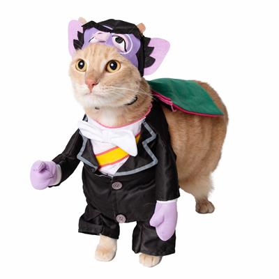 Cat wearing a Halloween Count costume with a cape and purple gloves on a white background