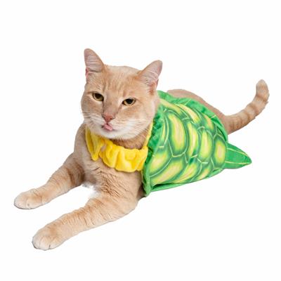 Cat wearing a turtle costume on a white background
