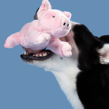 Fluff & Tuff Petey Pig Plush Dog Toy