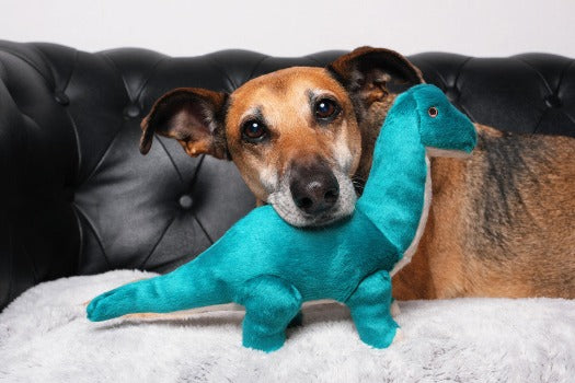 Fluff & Tuff Ross Brachiosaurus Plush Dog Toy