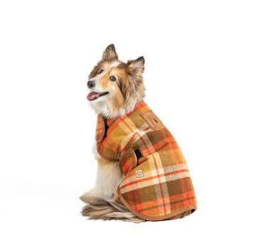 Dog wearing Chilly Dog Rust Plaid Blanket Coat