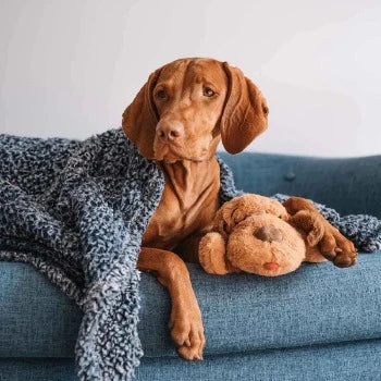 The Original Snuggle Puppy - Biscuit