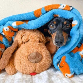 The Original Snuggle Puppy - Biscuit