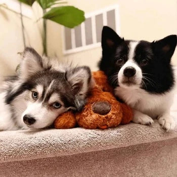 The Original Snuggle Puppy - Brown