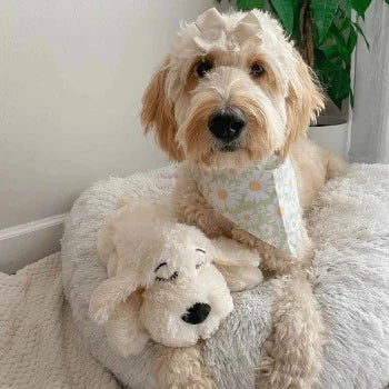 The Original Snuggle Puppy - Golden Retriever