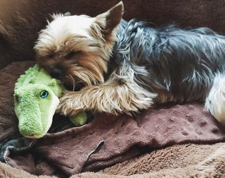 Fluff & Tuff Savannah Baby Gator Plush Dog Toy