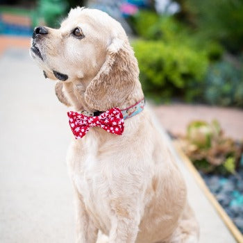 Huxley & Kent Snowflake Dog Bow Tie