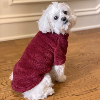 Doggie Design Burgundy Soft Plush Pullover Top
