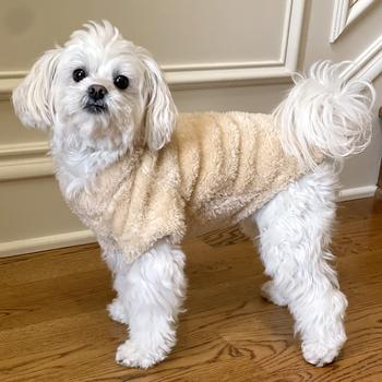 Doggie Design Cream Soft Plush Pullover Top