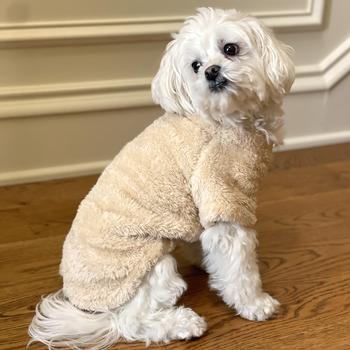 Doggie Design Cream Soft Plush Pullover Top