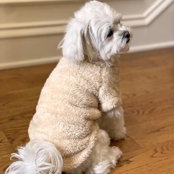 Doggie Design Cream Soft Plush Pullover Top
