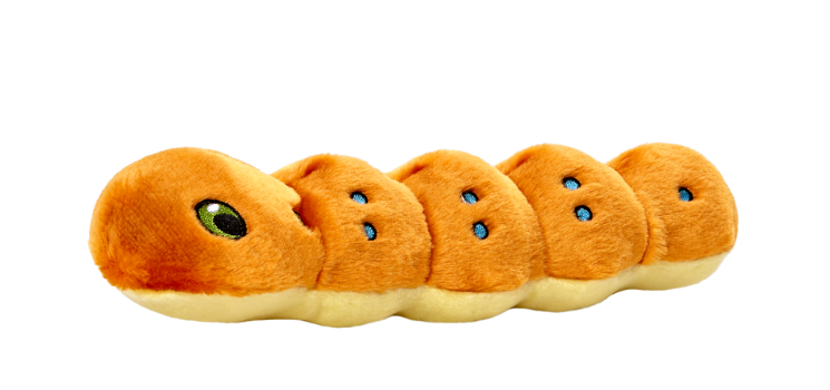 Fluff & Tuff Orange Spicy Caterpillar Dog Toy