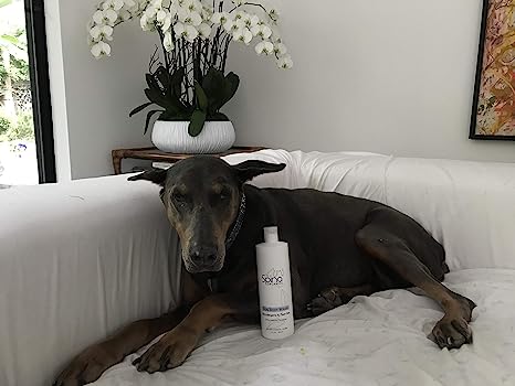 Hypoallergenic Dog Body Wash