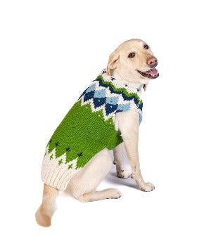 Dog wearing green Chilly Dog Spring Ski dog sweater