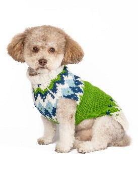 Dog wearing green Chilly Dog Spring Ski dog sweater