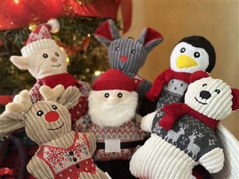 HuggleHounds Squeaky Cookie Collection Dog Toys