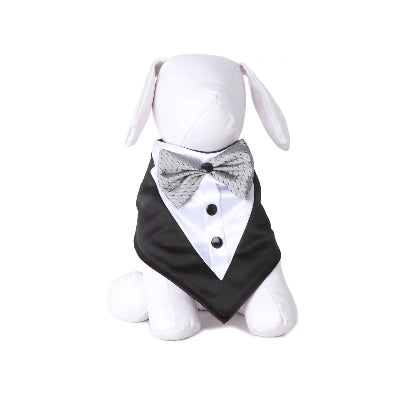 Dog mannequin dressed in a tuxedo with a bow tie on a white background