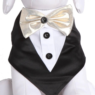 Dog mannequin wearing a black tuxedo bandana with an gold bow tie on a white background