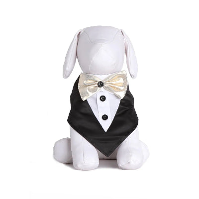 White dog mannequin wearing a black tuxedo with a bow tie on a white background