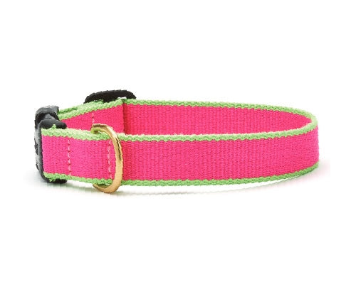 Color Market Dog Collar & Leash Collection