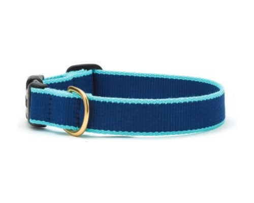 Color Market Dog Collar & Leash Collection