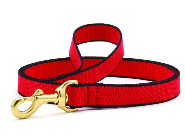 Color Market Dog Collar & Leash Collection