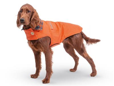 Dog wearing an orange coat on a white background