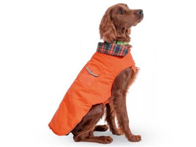 Dog wearing an orange coat with a plaid collar on a white background