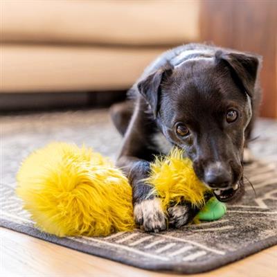 Dog playing with a yellow toy on a rug