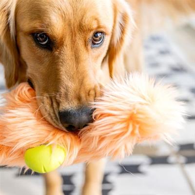Dog playing with a fluffy toy featuring a yellow hands.