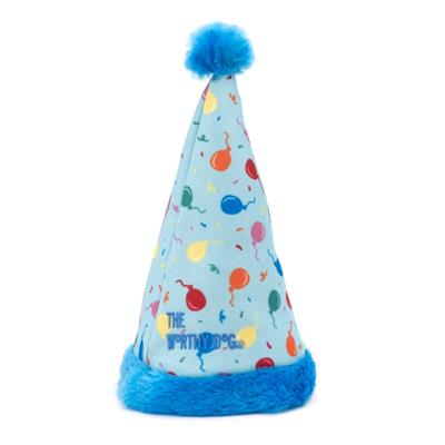 Birthday Party Hat & Toy