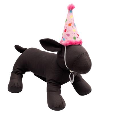 Birthday Party Hat & Toy