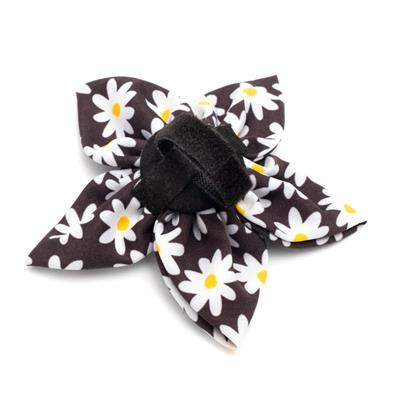 Black Daisy Collar Flower