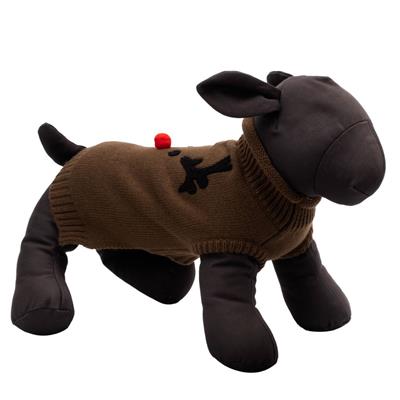 Dog wearing a brown reindeer sweater with red pom pom nosesweater on a white background