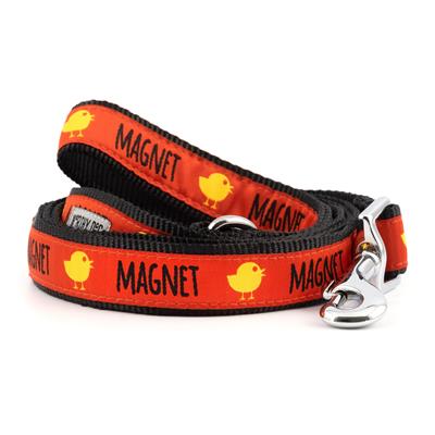 Chick Magnet Collar & Leash Collection
