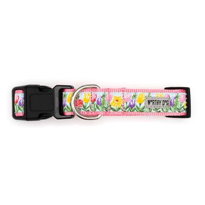 Blue Hello Spring Collar & Leash Collection