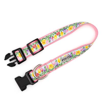 Blue Hello Spring Collar & Leash Collection