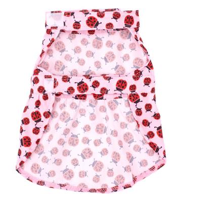 Ladybug Dress