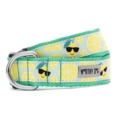 Lemons Collar & Leash Collection