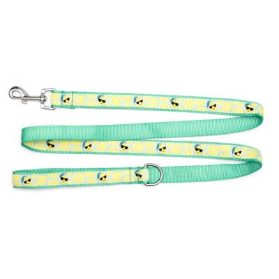 Lemons Collar & Leash Collection